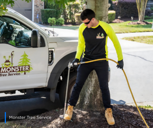 SJ_Hero_Monster Tree Service